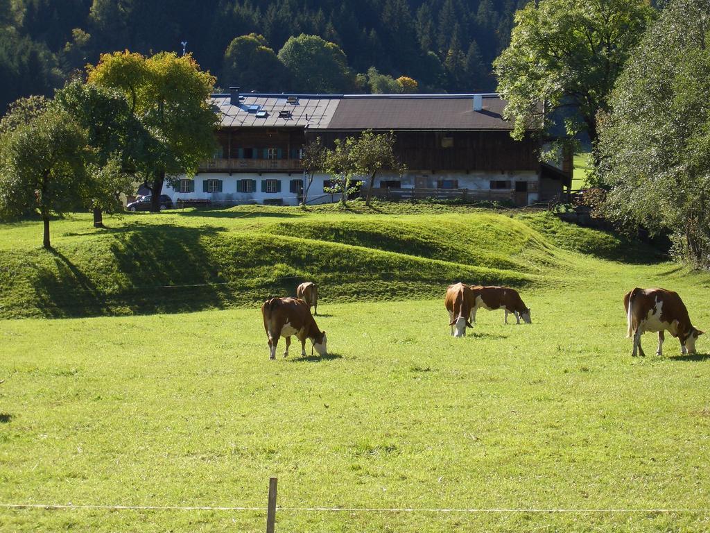 Hotel Garni Zimmermann Reith bei Kitzbuehel Luaran gambar