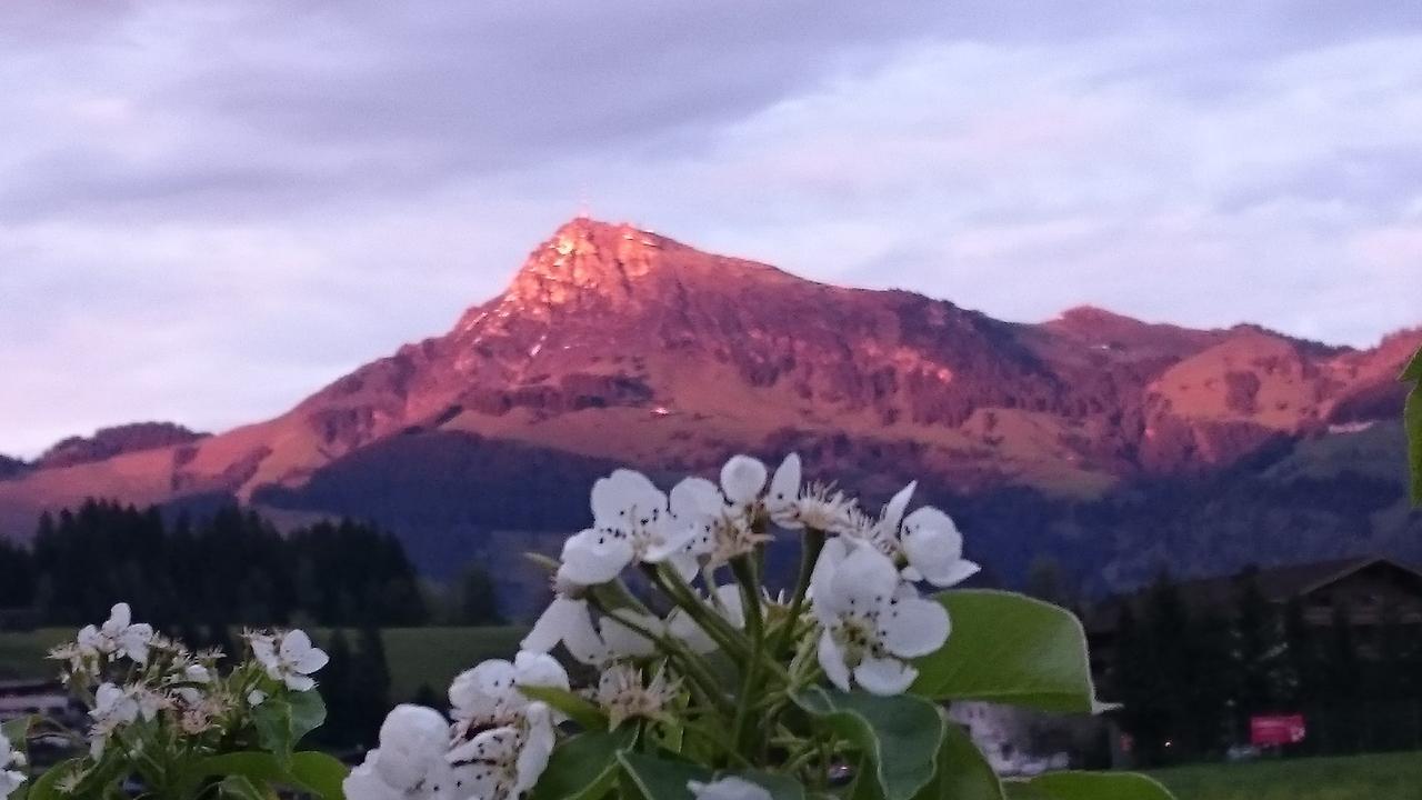 Hotel Garni Zimmermann Reith bei Kitzbuehel Luaran gambar